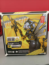 ワスプガール|SNAIL SHELL