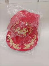 ゲームセンターあらし|TAITO