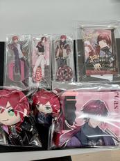 ぬいぐるみ アクスタ|ANYCOLOR