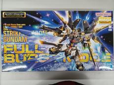 MG 1/100プラモデル|BANDAI