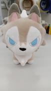 ポケモンドールズ|ポケモン