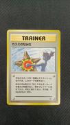 旧裏 ポケモンカード|ポケモン
