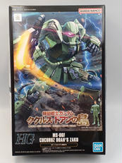 HG 1/144