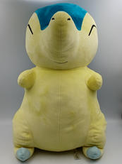 ポケモン|ポケモン