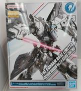 MG フリーダムガンダム VER.2.0 [シルバーコーティ|バンダイ