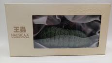 王蟲フィギュア|コミニカ