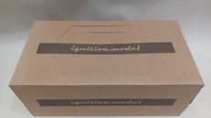 DATSUN|イグニッションモデル