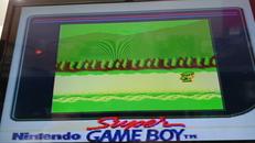 imgMap['COMMENT']}