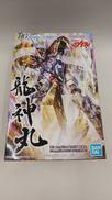 HG AMPLIFIED IMGN|BANDAI