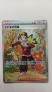 ヒビキの冒険|ポケモン