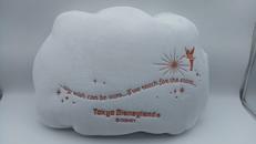 リーチ・フォー・ザ・スターズ|ディズニーリゾート