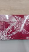 機動戦士ガンダムSEED DESTINY
