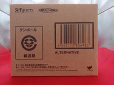 オルタナティブ