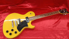 レスポールタイプ|SCHECTER