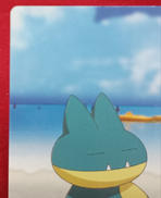 SUMMERセット|ポケモン