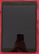 IPAD 第7世代|APPLE