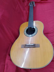 エレガットギター|OVATION