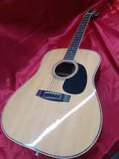 アコースティック|MORRIS