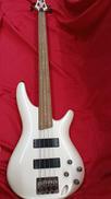 エレキベース|IBANEZ