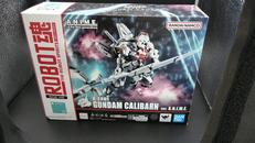 X-EX01 ガンダム・キャリバーン VER. A.N.I.|BANDAI