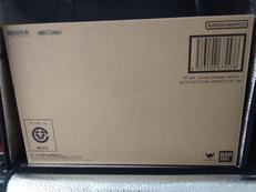 VF-25F トルネードメサイアバルキリー (早乙女アルト機|BANDAI