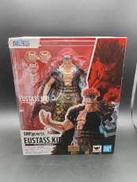 ユースタス・キッド -鬼ヶ島討入-|BANDAI