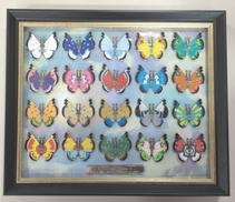 ビビヨン 全20種セット|ポケモン