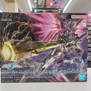 HGデスティニーガンダム