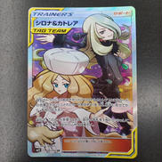 シロナ＆カトレア|ポケモン