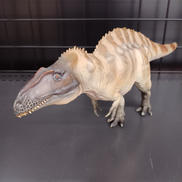 アクロカントサウルス|PNSO