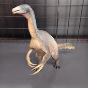 テリジノサウルス|PNSO