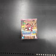 VER.WONDERSWAN|BANDAI