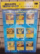 ピカチュウ ワールド|ポケモン