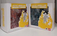 FECT BURNING FLAME|BANDAI