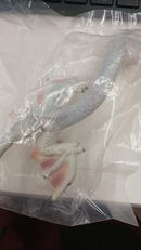 フルフル 「カプコンフィギュアビルダー モンスターハンター|カプコン