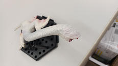 フルフルフィギュア|カプコン