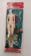 オビツボディ 女性 バストサイズ|オビツ製作所