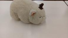 耳をすませば　ムタ ぬいぐるみ|スタジオジブリ