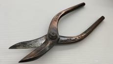 エグリ|不明です