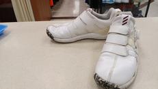 25.5CMゴルフシューズ|ADIDAS