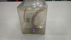 フォトボール|MLB