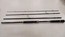 シーバスロッド|DAIWA