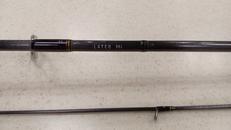 シーバスロッド|DAIWA