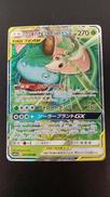 フシギバナ＆ツタージャＧＸ|ポケモン