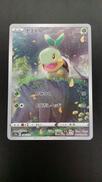 ナエトル|ポケモン