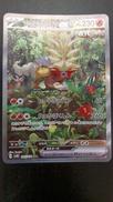 ウガツホムラＥＸ|ポケモン